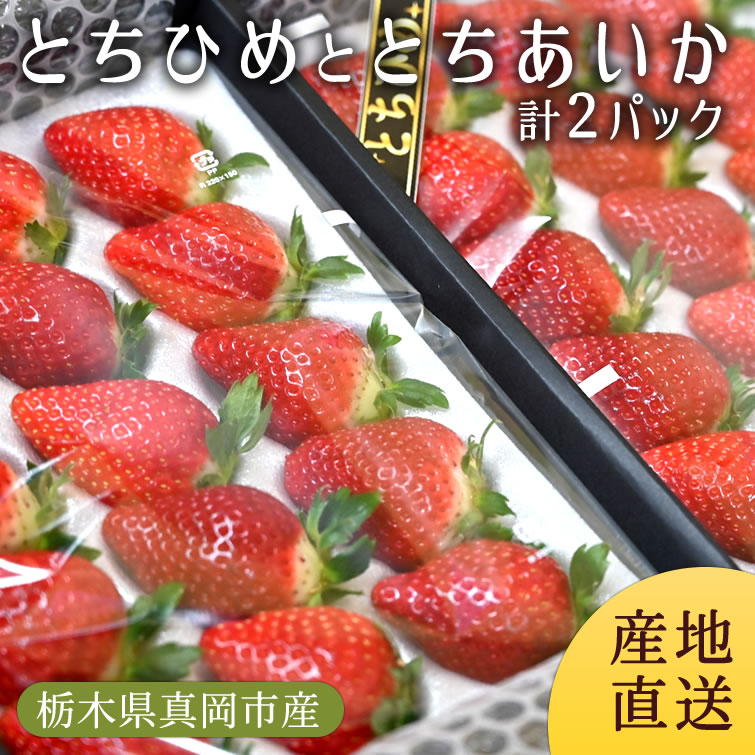 とちひめ と とちあいか 計2パック (ギフト用) | 送料無料 いちご 苺 イチゴ 生いちご いちご 贈答用 プレゼント ギフト お祝い 内祝い お取り寄せ 栃木県産 栃木産【WS】【icp】