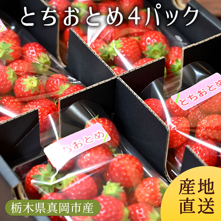 とちおとめ4パック (お徳用) | 送料無料 いちご 苺 イチゴ 生いちご プレゼント ギフト お祝い 内祝い お取り寄せ 栃木県産 栃木産【WS】【icp】