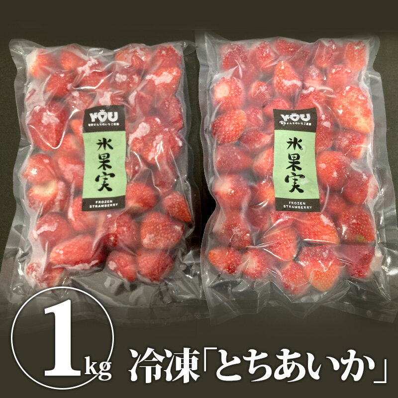 【送料無料】冷凍いちご 氷果実 大サイズ2個セット 500g x 2 | イチゴ 苺 冷凍いちご とちあいか アイス スムージー ジャム お菓子 お取り寄せ【WS】