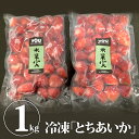 【送料無料】冷凍いちご「氷果実」大サイズ2個セット(500g x 2) イチゴ 苺 冷凍いちご とちおとめ アイス スムージー ジャム お菓子 お取り寄せ【WS】