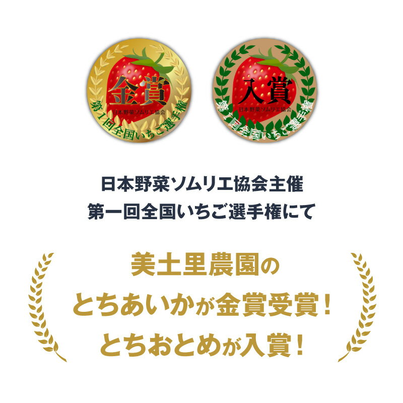 【訳あり】冷凍いちご とちおとめ＆とちあいかMIX 砂糖漬け 送料無料 いちご イチ...