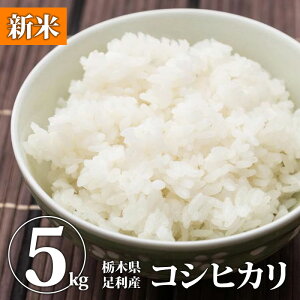 【新米】米 精米 5kg (コシヒカリ) 送料無料 白米 米 お米 コメ 5kg 5キロ お米 新米 令和7年産 令和7年米 今年 国産 栃木産 栃木県産 農家直送 グルメ お取り寄せ【WS】