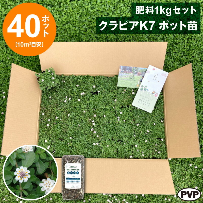 環境に優しいグランドカバープランツ 「クラピア」は、国内に自生するイワダレソウを改良し、 種を付けないように品種改良された農水省登録済みのグランドカバープランツです。 鮮やかなグリーンと、小さな可愛らしい花が特徴で、庭に生き生きとした彩りを加えます。 柔らかな踏み心地に加え、環境にもやさしいことから、 ご家庭でも安心してご利用いただける“芝に変わるグランドカバー”として注目されています。 ポット苗で植えて広がる。環境にやさしい「クラピア」 クラピアはポット苗で植えて地表に広げるグランドカバー植物です。 ガーデニング初心者でも植え付けが可能です。 ご家庭で小さな苗を植えて育てる経過を楽しむことで、みどりや環境の大切さも育めます。 より美しく、環境にやさしいライフスタイル「クラピアのある暮らし」をお楽しみください。 小さなポット苗で植えて、スピーディーに広がる「クラピア」は、 花を植える感覚でご家庭でも簡単に植え付けることができます。 K7ポット苗40個セットは目安として、10平方メートル程度の植栽に適しています。 クラピアは多年草で、生育期（4月〜10月）は生長してグリーンが広がります。 エコロジーなグリーンカーペット！雑草抑制効果と涼しさを実現 グランドカバー植物の中でも、比較的お手間がかからないクラピア。 「植物＝生き物」ですので、季節ごとに必要なお世話をすることで、毎年美しい成長を見せてくれます。 また、地表の温度上昇を和らげる効果もあり、夏場には涼しく快適なお庭を維持します。 当社の「クラピア」はヒメイワダレソウの改良種、ヒメイワダレソウの園芸品種ではございません。 「ヒメイワダレソウ」は、環境省・農林水産省が共同で公表した国内の生態系に被害を及ぼす恐れのある 外来種として重点対策外来種に指定されています。異なる別品種ですのでSNSなどの誤情報にご注意下さい。 クラピアオリジナル肥料をセットでお届けします 小さな苗で植えてスピーディーに被覆させる「クラピア」。 初期の生長を促進する速効性肥料と、長く効果が持続する肥料をバランスよく配合した クラピアメーカーオリジナル緩効性肥料とのセット商品です。 元肥で余った肥料を追肥用としてご使用いただけます。 品名 クラピアK7 ポット苗＋肥料セット 内容量 クラピア40個、クラピア有機入り緩効性肥料1kg1袋 生産地 栃木県 配送について 北海道・山口・九州・沖縄・離島へのお届けは承ることができません。注文確認後、自動的にキャンセルさせていただきます。ご了承ください。 製造発送元 株式会社エスビーエル（クラピア販売店） 栃木県小山市