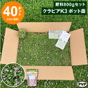 クラピアK3 ポット苗40個+肥料800gセット 送料無料 苗 花木 ポット苗【WS】