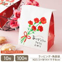 母の日 角底袋(10枚入/メール便OK)(100枚入)母の日 カーネーション ギフト プレゼント 袋 お母さん ありがとう ラッピング 贈り物 花 雑貨 リボン 可愛い カジュアル 気軽