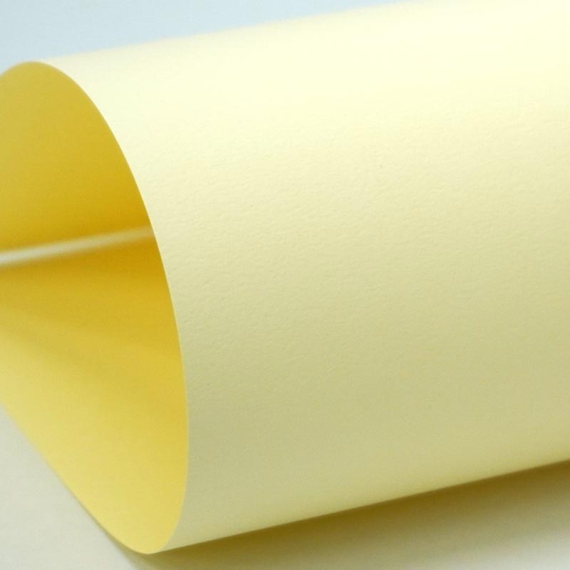 【メール便OK】タントP-53〈100〉／A4／50枚入り