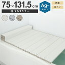 Ag 折りたたみ 風呂ふた L-11 メタリックグレー 75 × 110cm 用 ( 750 × 1092mm ) 東プレ 日本製 | 風呂フタ 風呂蓋 ふた フタ 蓋 お風呂ふた 1枚 折り畳み 折りたたみタイプ コンパクト ふろふた 抗菌 細菌 防臭 バス 浴室 お手入れ簡単 バスルーム 抗菌防臭 バス用品