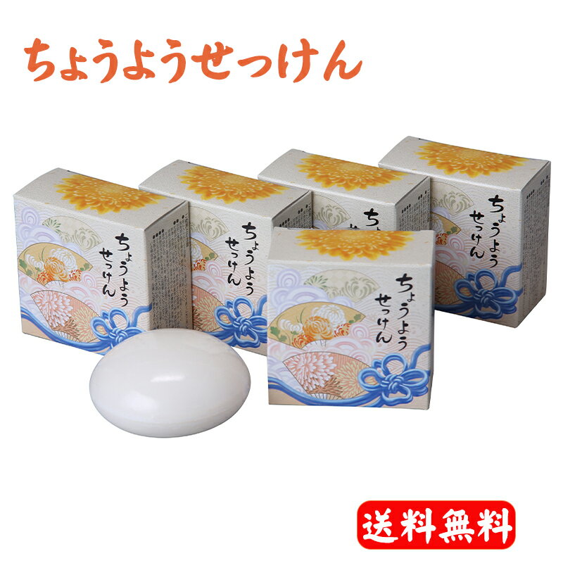 ちょうようせっけん 100g×5個セット バーバラ寺岡 バーバラちょうよう石鹸 無香料 ソープ 洗顔 乾燥肌 固形石鹸 洗顔石鹸 固形せっけん 【送料無料】のサムネイル