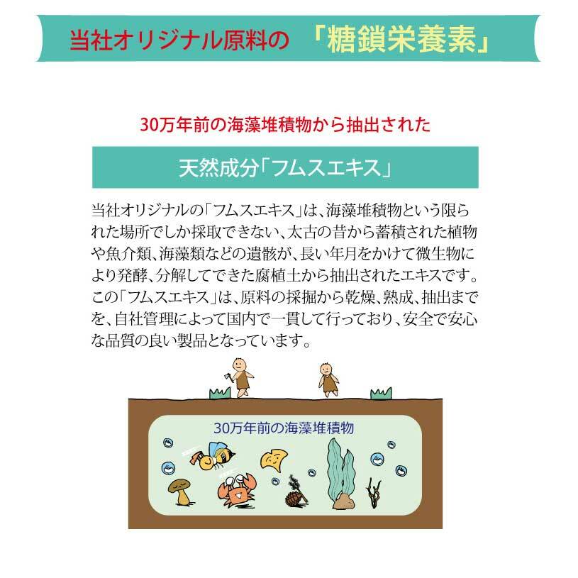 �����饤�����ߥ��ȥ��ץ졼 100ml 1�� ̵������̵�忧 ����̵�� ������ �����饤����