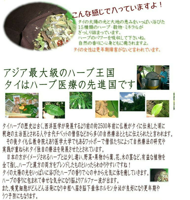 【正規品】楽草ホットパット大・L 電子レンジ ...の紹介画像3