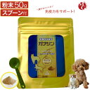 犬 猫 免疫力 ペット サプリメント 免疫 の健康を維持 冬虫夏草 免疫力対策 アレルギーフリー 有機 老犬 老猫 シニア ねこ いぬ ネコ イヌ 元気度 高める うさぎ 兎 ペット ガナシン 50g オーガニック ローヤルゼリー配合 七星堂