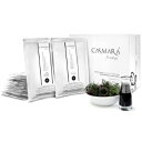 Casmara カスマラ ブラック2020【送料無料】