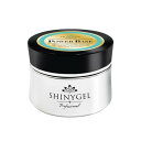 SHINYGEL professional シャイニージェル パワーベース 25g【送料無料】