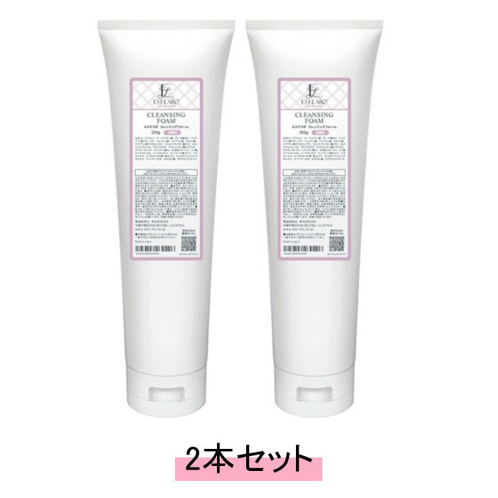 EST LABO　エステラボ クレンジングフォーム 250g 洗顔料【2本セット】【送料無料】
