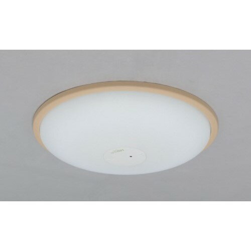 LED󥰥饤 ĴĴ PPͭ(֥饦) ñ2700lm ĴĴ