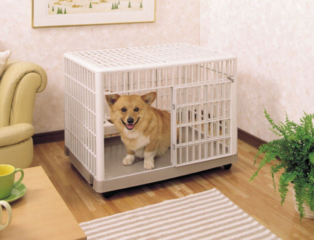 �ץ饱������810 �١�����