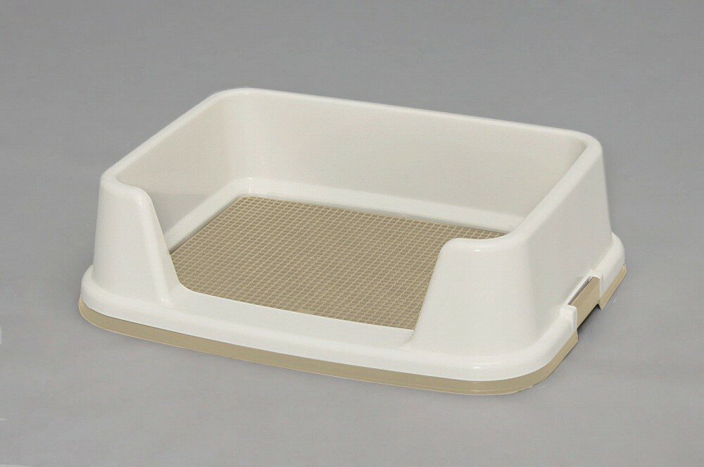 �ȥ졼�˥󥰸��ȥ��졡�ߥ륭���֥饦��