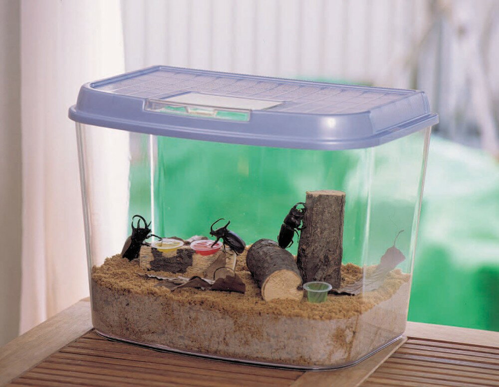 ������ɥ����ܡ��֥�å�