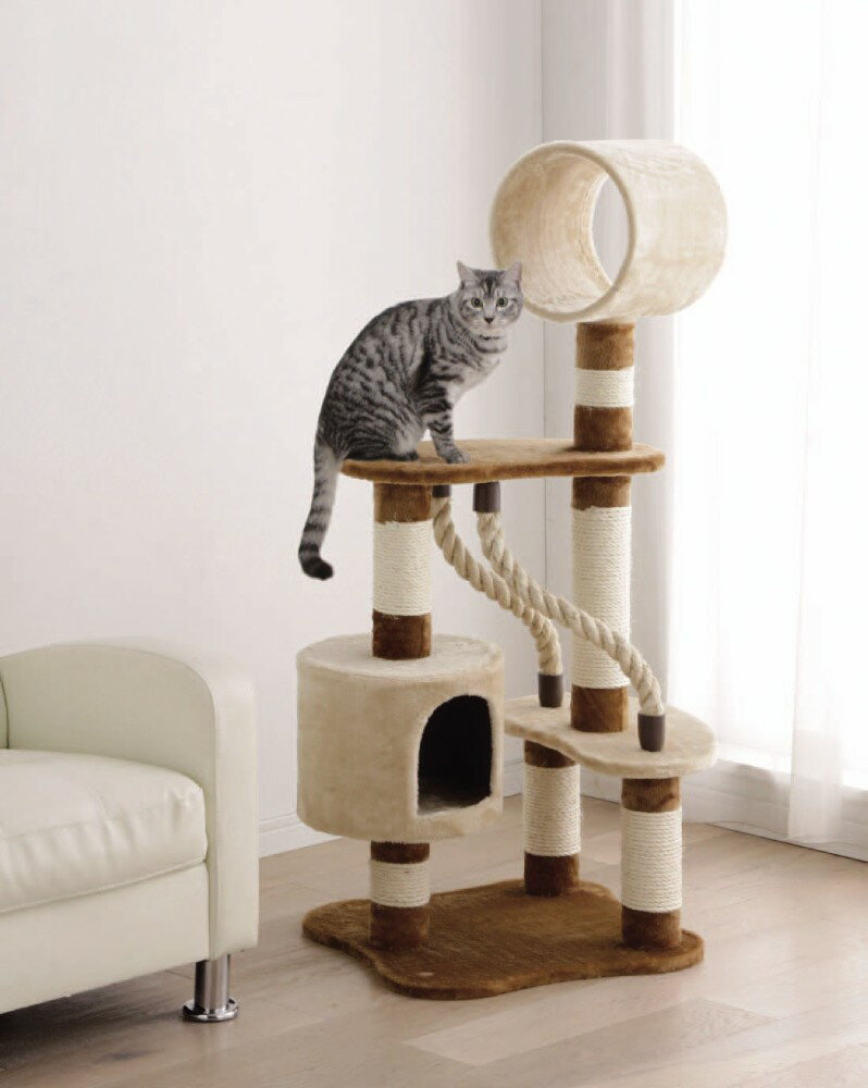 ����åȥ��� �֥饦��