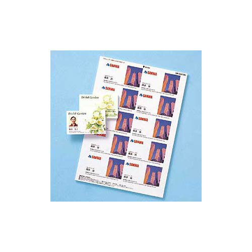 サンワサプライ カラーレーザー用フォト光沢名刺 LBP-MMC10KN | 名刺 関連単語 名刺入れ レディース メ..