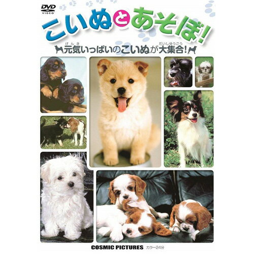 こいぬとあそぼ | 映画 映像 dvd cd ビデオ 関連単語 童話 懐かし 昭和 コレクション 大全集 講談 浪曲..