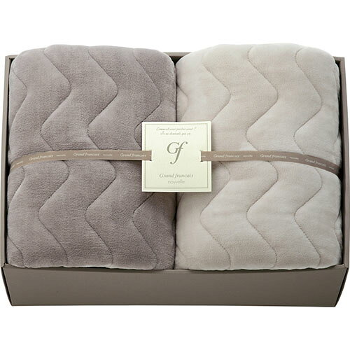 吸湿発熱綿入りハイソフトタッチ敷パット2P L8055105 関連：(アイディア 時短 グッズ 商品 生活 暮らし..