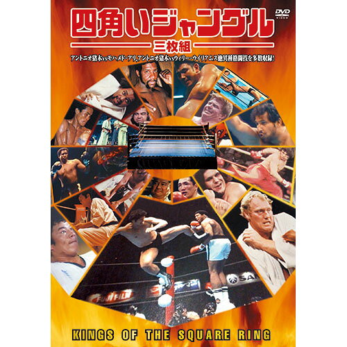 ARC 四角いジャングル 3RAX-001 関連：(アイディア 時短 グッズ 商品 生活 暮らし 便 ...