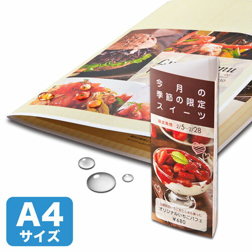 掠ץ饤 顼졼 ѿ桦ø LBP-WPF22MDPN | ݥȥ  Ϣñ   Ǽ ̲ å   ե졼...