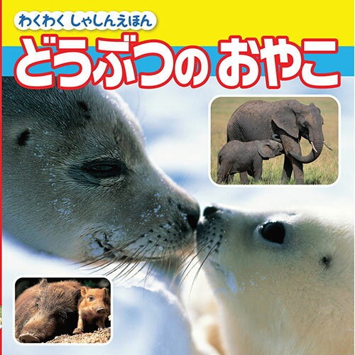 COSMOS コスモス わくわくしゃしんえほん どうぶつのおやこ CSS62067 | 子供 学習 関連単語 おもちゃ ..