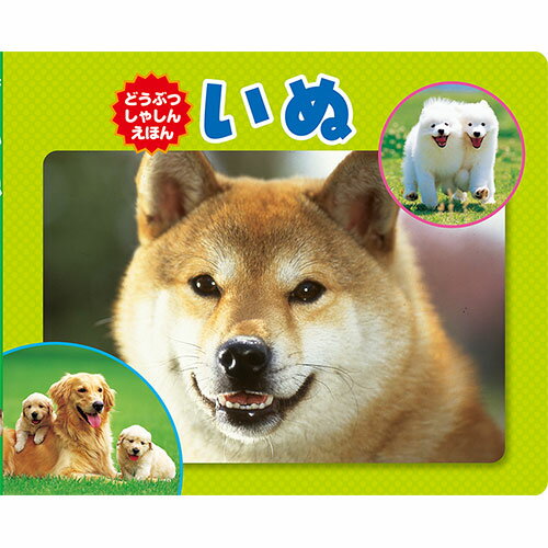 COSMOS コスモス 写真えほん いぬ CSS62371 | 子供 学習 関連単語 おもちゃ 時計 1歳 2歳 3歳 4歳 小学..