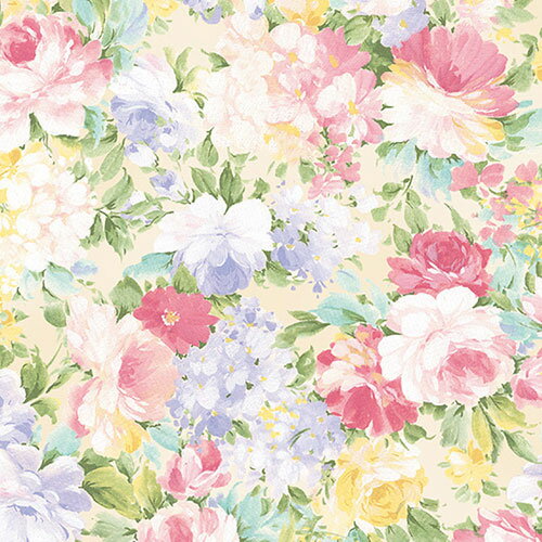 楽園 紙(半才)(50枚入) 22459104 | ポストカード 紙 関連単語 飾る おしゃれ 収納 北欧 セット 秋 花 フレーム 壁掛け 絵はがき a4 ハ...