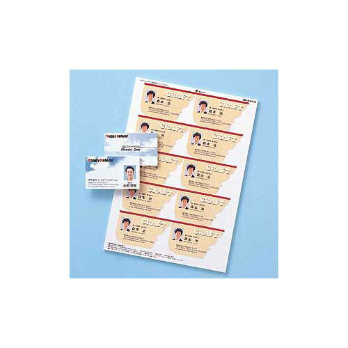 【10個セット】 サンワサプライ カラーレーザー用名刺(つやなし・マット) LBP-MMC10NX10 | 名刺 関連単..