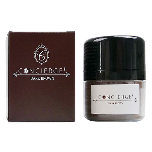 【5個セット】 グローバルジャパン ポンポン頭皮ファンデ(ダークブラウン) GJ70983X5 関連 ...