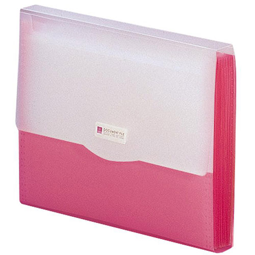 LIHIT LAB. リクエストドキュメントファイル A4 12仕切 G5610-3-RD 関連:(アイディア 時短 グッズ 商品 生活 暮らし 便利 安全)米...