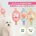 【11/1限定★最大1000円OFF!クーポン使用で】お散歩メッセージワッペン ペットグッズ 首輪アクセサリー お散歩アクセサリー 犬用アクセサリー 猫用アクセ...