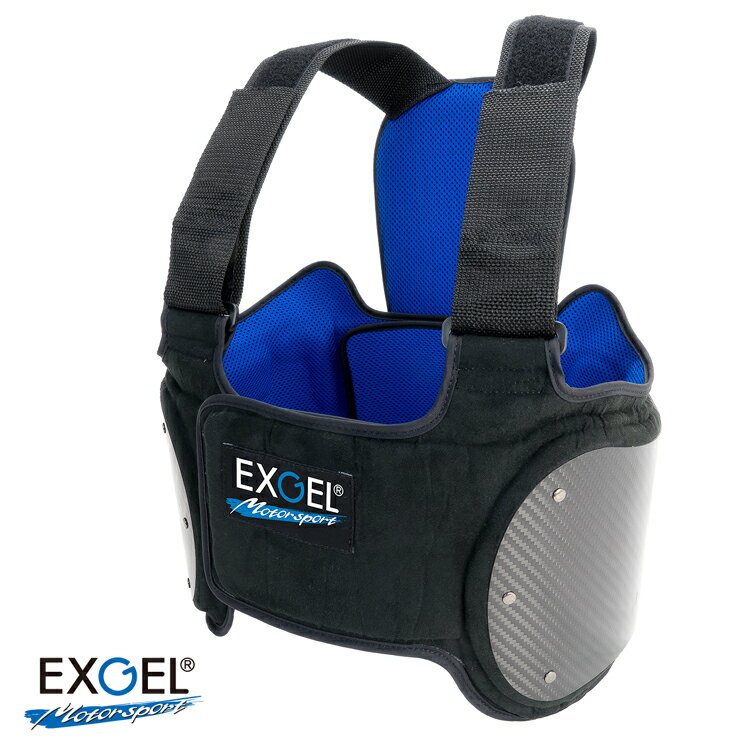 EXGEL エクスジェル DRY CARBON VEST 17 ドライカーボン ベスト レーシングカート用 リブプロテクター