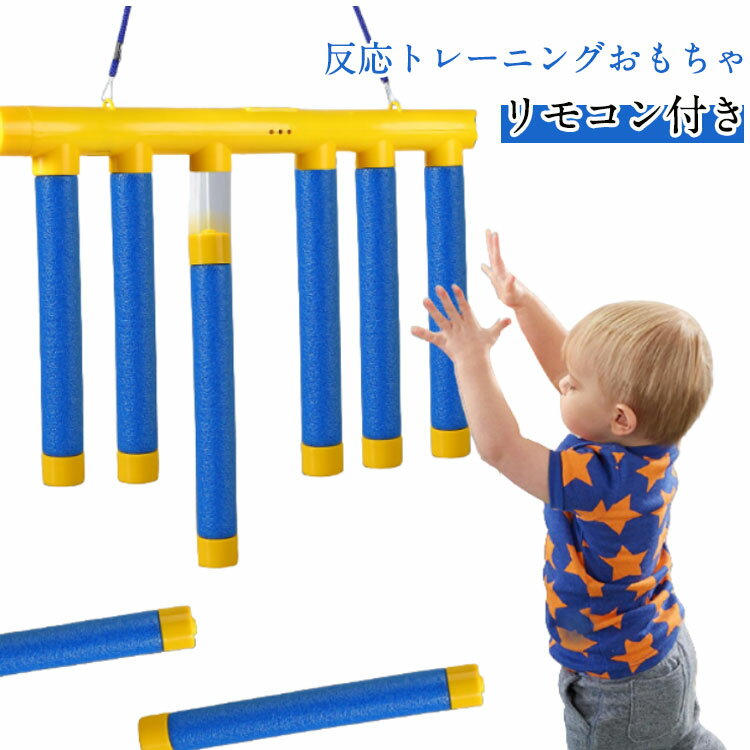 ڥ⥳դȿȥ졼˥󥰤 ڥ⥳դȿȥ졼˥󥰤 å󥰥 Ҷ ƥåå㡼 USBż ˥С...