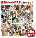 50枚セット アニマルシリーズ 面白 変顔 キャット 猫 ネコ PVC 防水加工 ステッカー シール