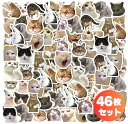 46枚セット アニマルシリーズ 面白 変顔 キャット 猫 ネコ PVC 防水加工 ステッカー シール