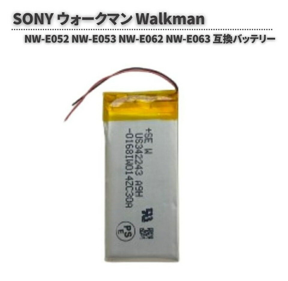 SONY ウォークマン Walkman NW-E052 NW-E053 