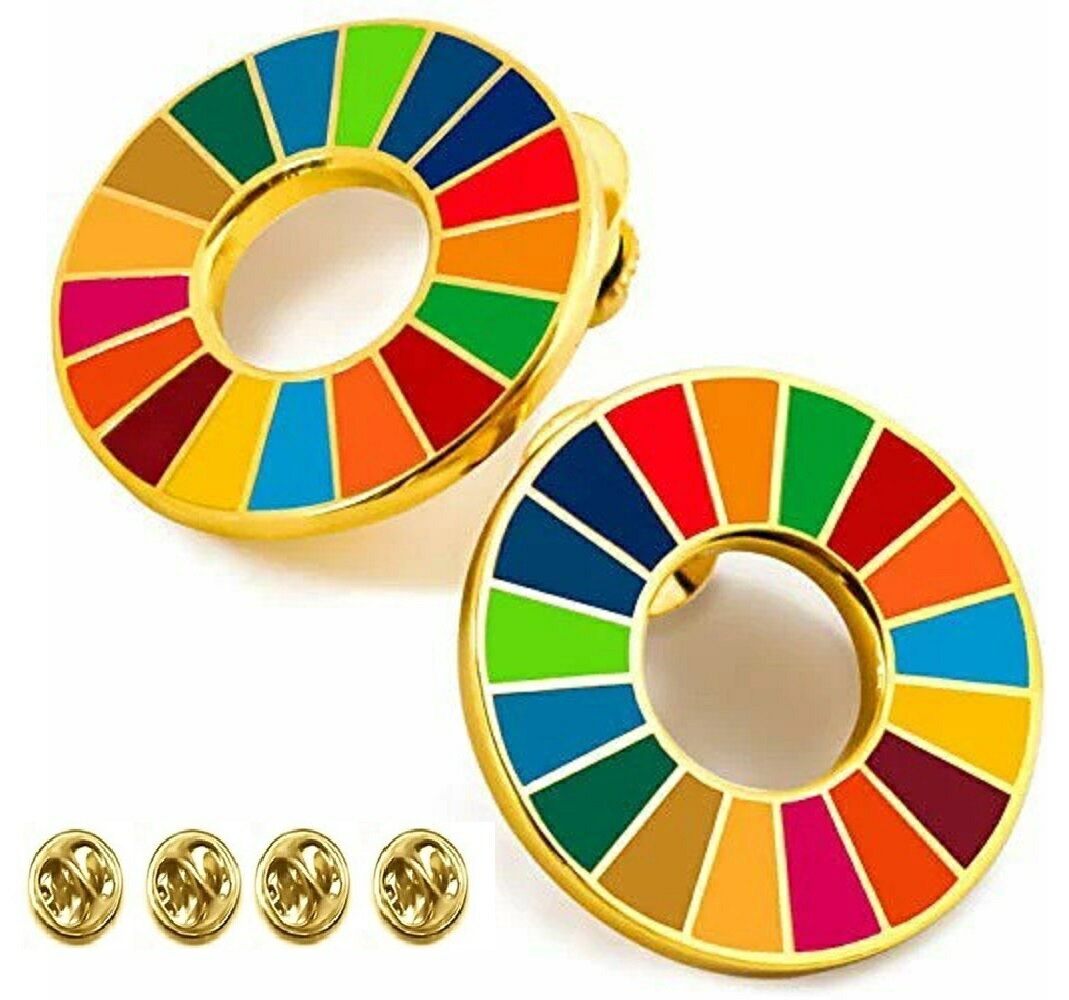 SDGs ピンバッジ 25mm サイズ 平ら仕上げ 国連ガイドライン対応 ゴールドフレーム シルバーフレーム UNDP 襟章 バッヂ 七宝焼 予備留め具付き 2個セット 1