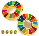 【お買い物マラソン対象商品】 SDGs ピンバッジ 25mm サイズ 平ら仕上げ 国連ガイドライン対応 ゴールドフレーム シルバーフレーム UNDP 襟章 バッヂ 七宝焼 予備留め具付き 2個セット