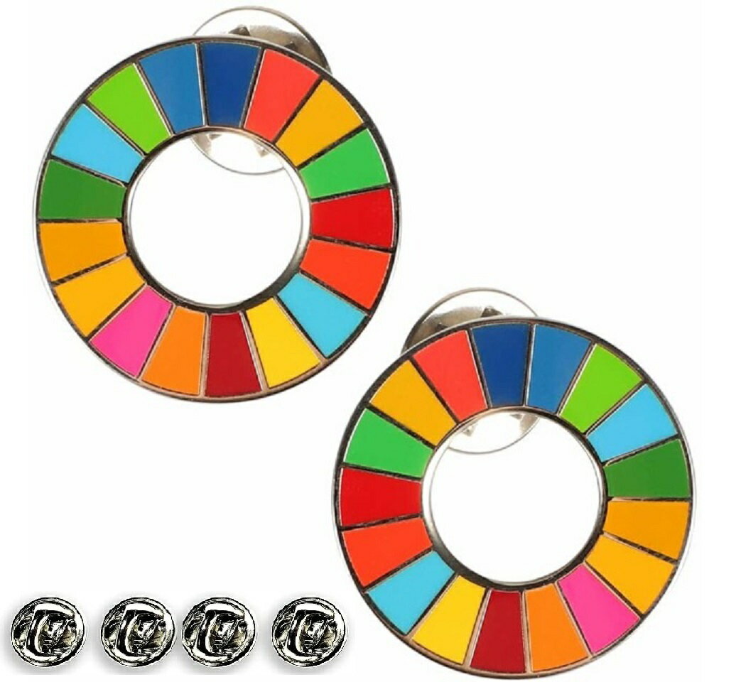 SDGs ピンバッジ 25mm サイズ 平ら仕上げ 国連ガイドライン対応 ゴールドフレーム シルバーフレーム UNDP 襟章 バッヂ 七宝焼 予備留め具付き 2個セット 2