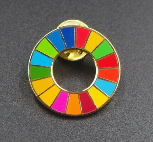 SDGs ピンバッジ 25mm サイズ 平ら仕上げ 国連ガイドライン対応 ゴールドフレーム シルバーフレーム UNDP 襟章 バッヂ 七宝焼 予備留め具付き 2個セット 3