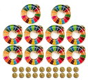 SDGs ピンバッジ さりげない20mmミニサイズ!! 国連ガイドライン対応 ゴールドフレーム シルバーフレーム UNDP 襟章 バッヂ 七宝焼 立体感のある丸み仕上げ 予備留め具付き 10個セット