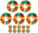 SDGs ピンバッジ 25mm サイズ 平ら仕上げ 国連ガイドライン対応 ゴールドフレーム シルバーフレーム UNDP 襟章 バッヂ 七宝焼 予備留め具付き 5個セット