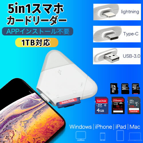 1TBб5in1 sdɥ꡼ usb lightning type-c ɥ꡼ iphone ꡼ usb lightning type c ꡼ TF microsdɥ꡼ iPad iOS windows mac ѥ switch/PS4 iPhone 12 11 11pro X XS XR 6 6sб ®  ι