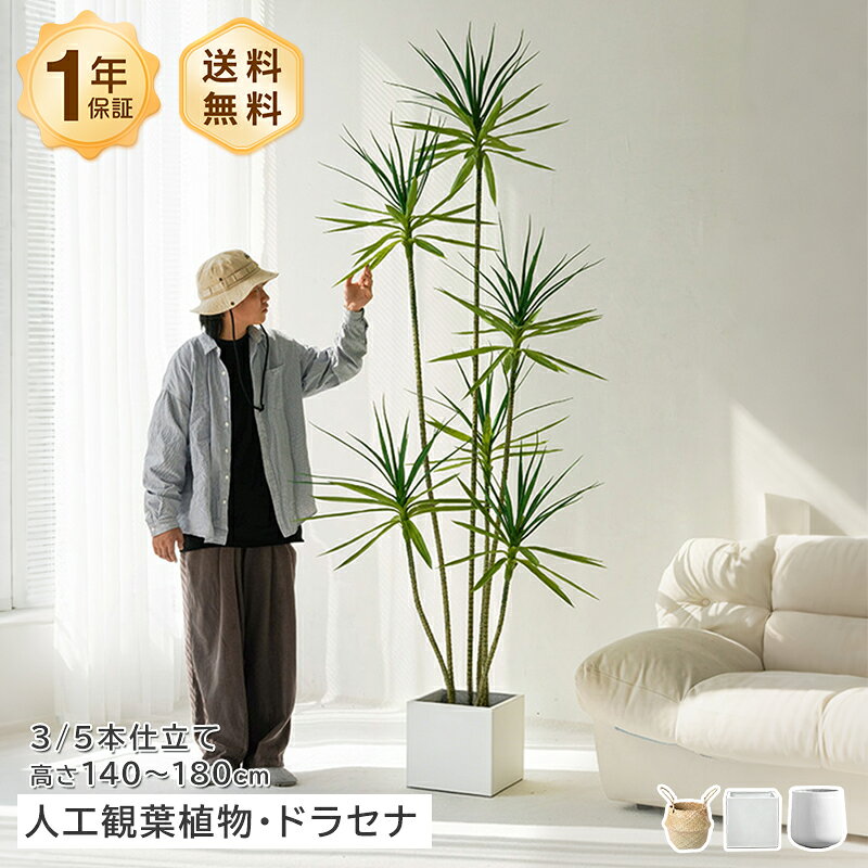 Rakuten - フェイクグリーン 人工観葉植物 人造植物 ドラセナ リュウケツジュ フェイクプランツ インテリアグリーン 大型 140cm 160cm 180cm 鉢付き スタンド リビング 玄関 オフィス 飾り 高級感 リアル ラグジュアリー モダン