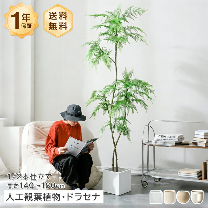 乐天商城 - フェイクグリーン 人工観葉植物 人造植物 ジャカランダ フェイクプランツ インテリアグリーン 大型140cm 160cm 180cm 鉢付き リビング 室内 玄関 オフィス 置物 飾り 高級感 リアル ナチュラル 北欧 モダン
