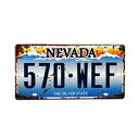 ナンバープレート レトロ インテリア (NEVADA WEF 570)